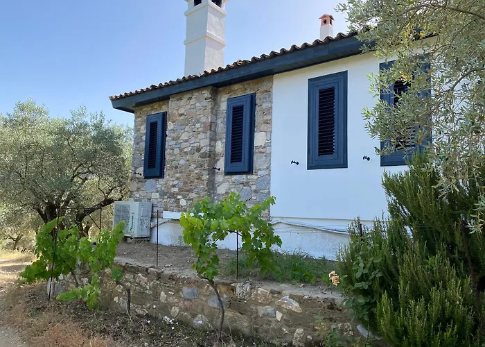 Lamin House