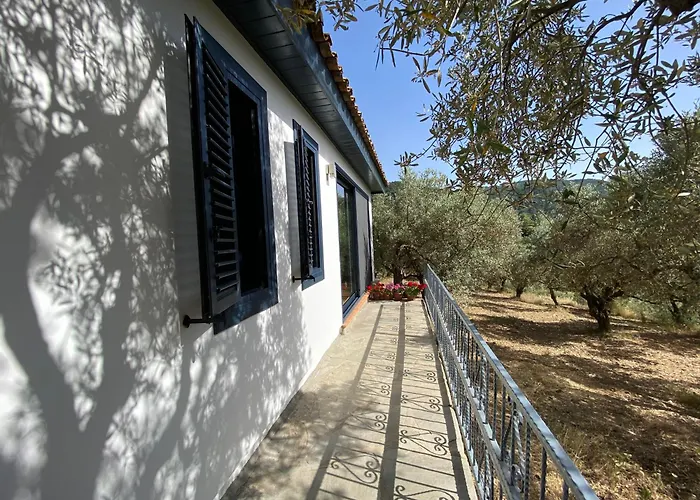 Lamin House