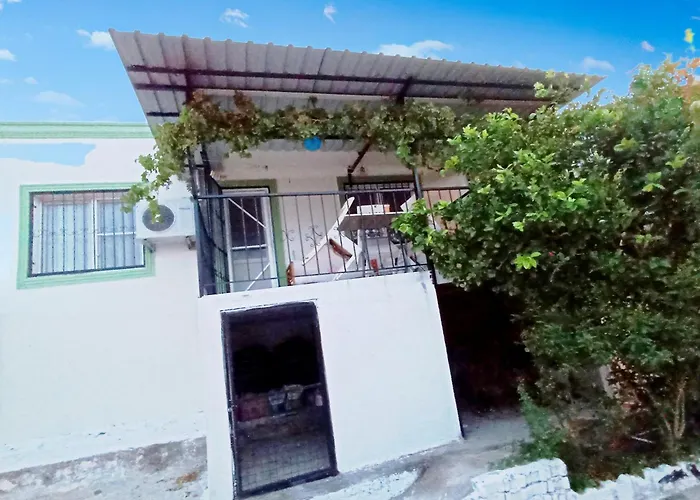 Lotus House